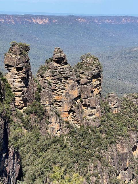 From Sydney: Blue Moutains and Featherdale Day Tour - Why This Tour Offers Great Value