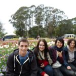 From Sydney: Canberra City Highlights and Floriade Day Tour - Analyzing the Value