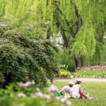 From Sydney: Canberra Floriade Festival Includes Lunch - The Itinerary Breakdown