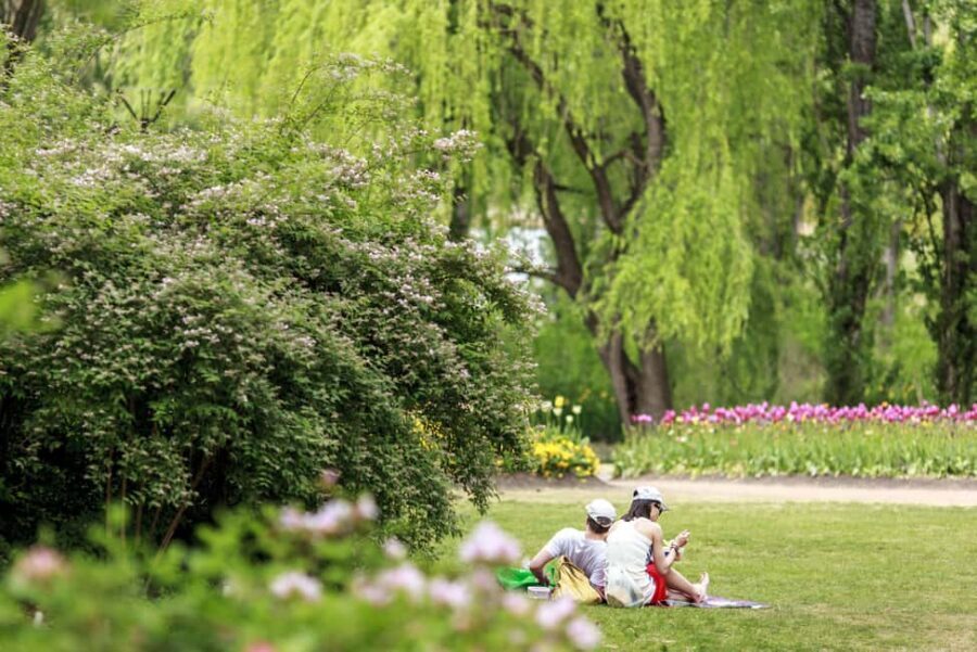 From Sydney: Canberra Floriade Festival Includes Lunch - The Itinerary Breakdown