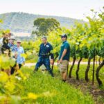 From Sydney: Full-Day Hunter Valley Wine Tour & Lunch - An In-Depth Look at the Hunter Valley Tour