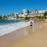 From Sydney: Full Day Tour of Golden Beaches and Ocean Vista - Who Will Love This Tour?