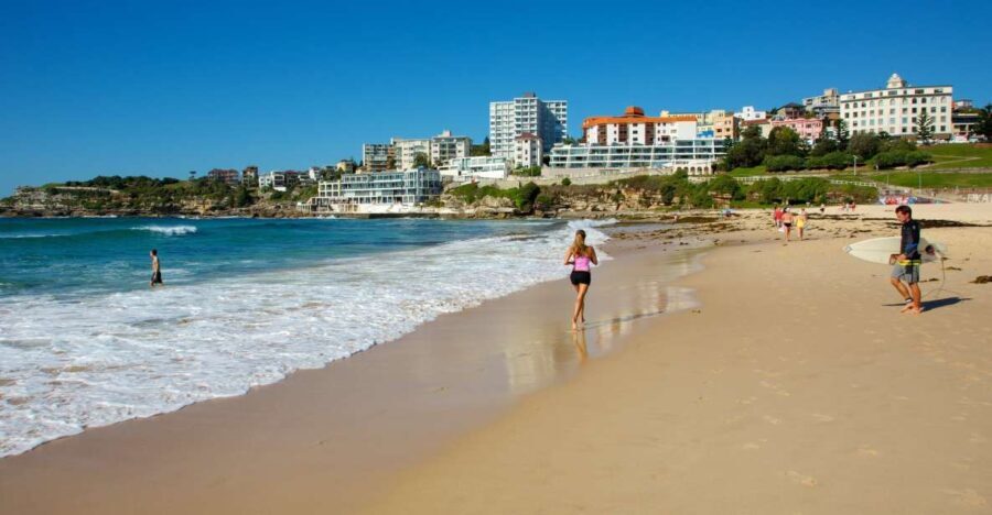 From Sydney: Full Day Tour of Golden Beaches and Ocean Vista - Who Will Love This Tour?