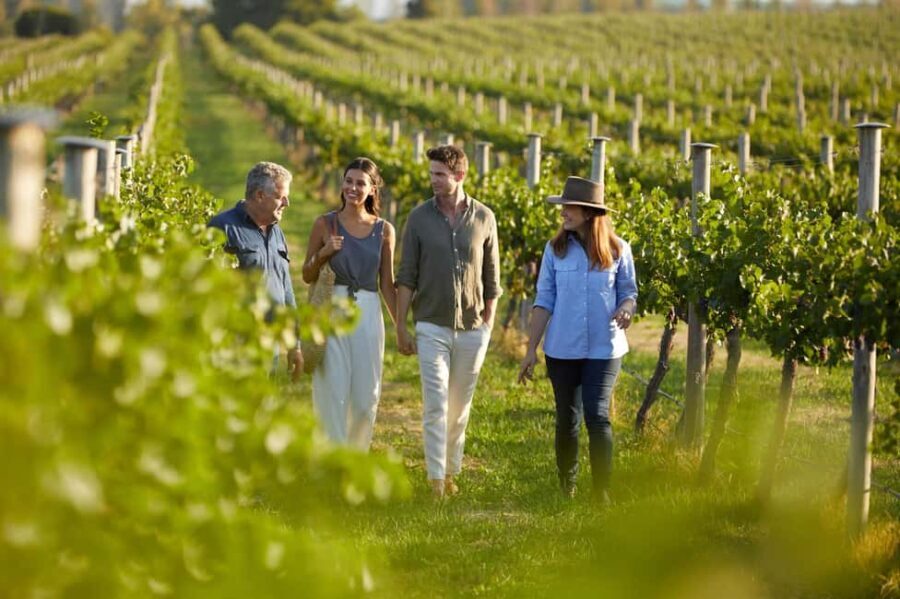 From Sydney: Hunter Valley Boutique Wine Tasting Tour - Why This Tour Stands Out