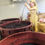 From Sydney: Hunter Valley Wine, Gin & Food Tastings Tour - An In-Depth Look at the Hunter Valley Tour Experience