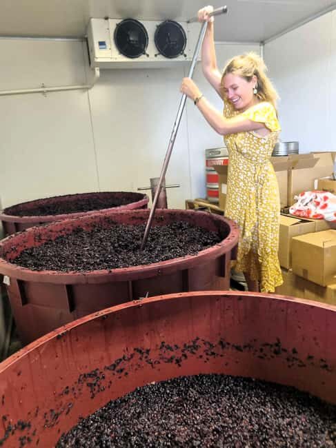 From Sydney: Hunter Valley Wine, Gin & Food Tastings Tour - An In-Depth Look at the Hunter Valley Tour Experience
