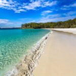From Sydney: Jervis Bay Day Tour and Dolphin Watching Cruise - What Travelers Can Expect: The Good, the Bad, and the Practical