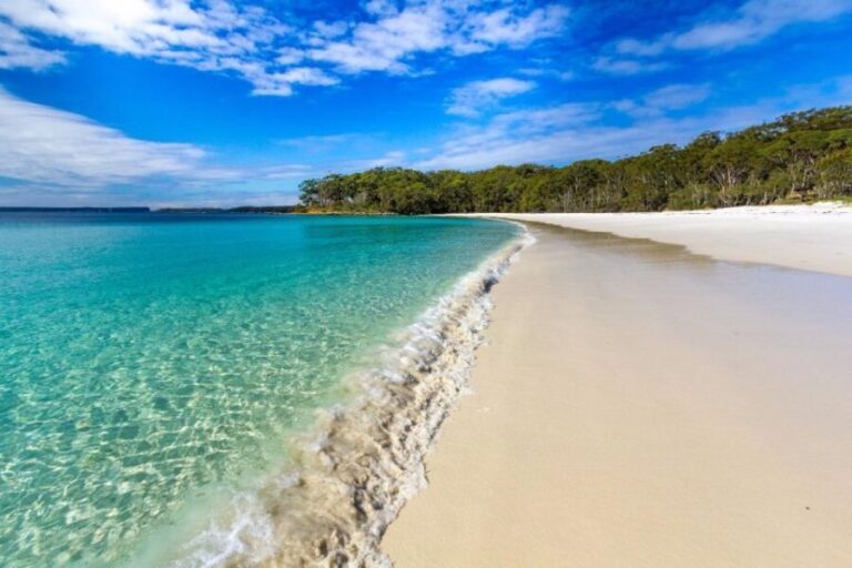 From Sydney: Jervis Bay Day Tour and Dolphin Watching Cruise - What Travelers Can Expect: The Good, the Bad, and the Practical