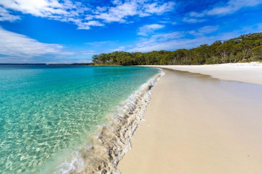 From Sydney: Jervis Bay Day Tour and Dolphin Watching Cruise - What Travelers Can Expect: The Good, the Bad, and the Practical