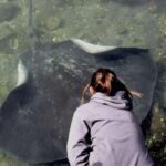 From Sydney: Jervis Bay Tour with Beach, Koalas & Kangaroos - What’s Included and What You’ll Need to Consider