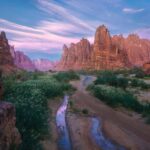 From Tabuk: Wadi Al Disah Private Tour - What to Do in Wadi Al Disah