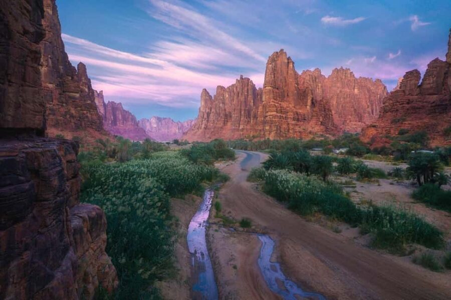 From Tabuk: Wadi Al Disah Private Tour - What to Do in Wadi Al Disah