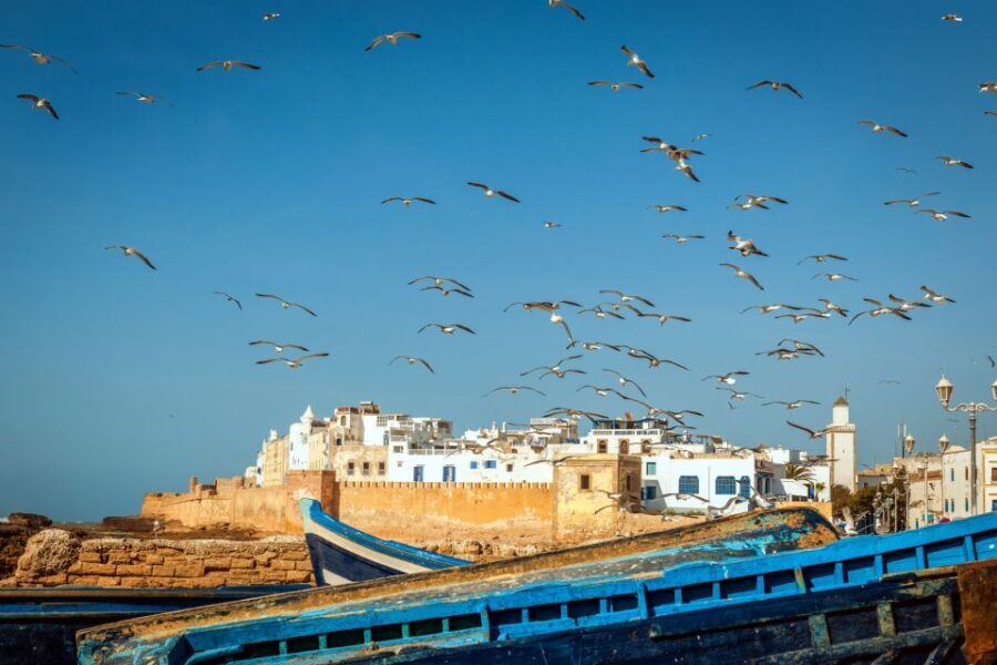 From Taghazout: Medina of Essaouira Guided Day Trip - The Experience: What Really Stands Out
