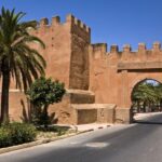 From Taghazout: Taroudant and Tiout Oasis Guided Tour - Transport, Guides, and Value