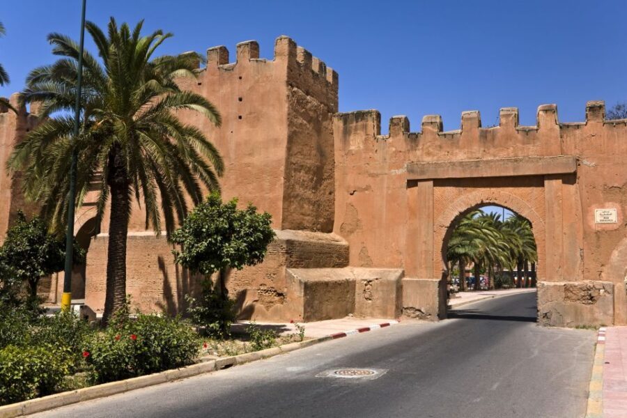 From Taghazout: Taroudant and Tiout Oasis Guided Tour - Transport, Guides, and Value