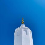 From Tangier: Asilah Tour with Tea Tasting & Camel Ride - The Value and Practicality of the Tour