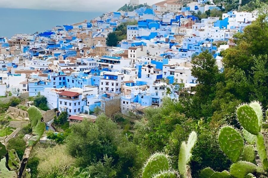From Tangier: Chefchaouen Private Day Tour - Transport and Guide Quality