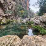 From Tangier: Day Trip to Chefchaouen and Akchour Waterfalls - The Itinerary: What to Expect