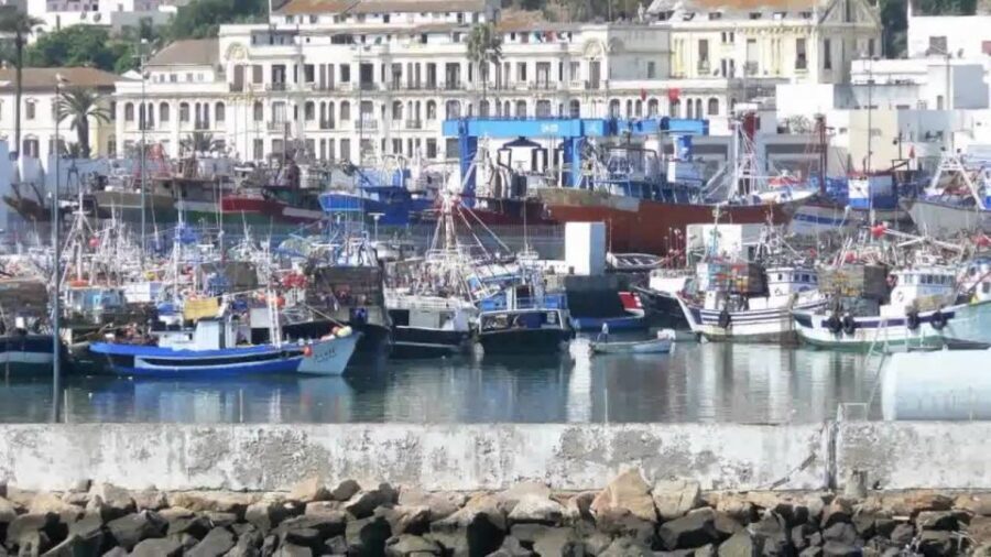 From Tangier: Full-Day Tangier, Asilah, & Cape Spartel Tour - The Value of the Experience