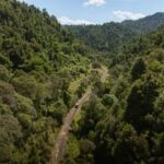 From Taumarunui: The Republic Rail Cart Adventure - What’s Included and What’s Not