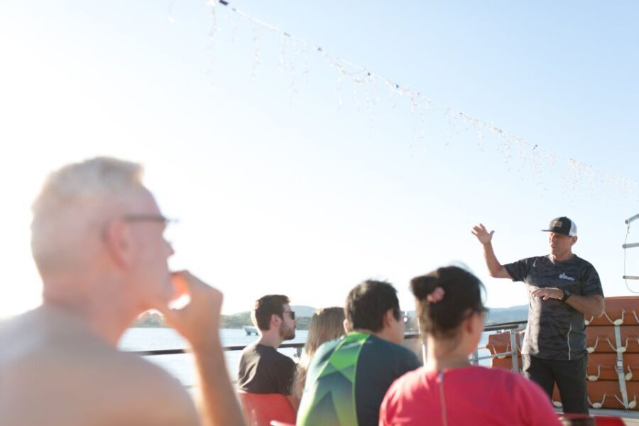 From Tauranga: Dolphin and Wildlife Cruise - Exploring the Marine Adventure: What You Can Expect