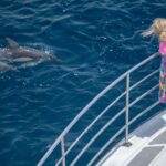 From Tauranga: Half-Day Swimming with Dolphins Tour - Why This Tour Offers Real Value