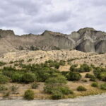 From Tbilisi: Vashlovani National Park Day Trip - What to Expect from Your Vashlovani Day Trip
