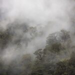 From Te Anau: Doubtful Sound Coach & Cruise - Exploring the Itinerary in Detail