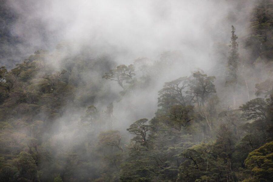 From Te Anau: Doubtful Sound Coach & Cruise - Exploring the Itinerary in Detail