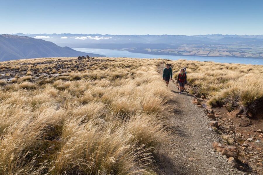 From Te Anau: Full Day Kepler Track Guided Heli-Hike - Price and Value