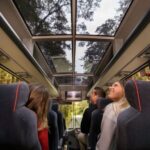 From Te Anau: Milford Sound Premium Bus Tour and Cruise - The Journey to Milford Sound: Scenic Stops and Travel Comfort