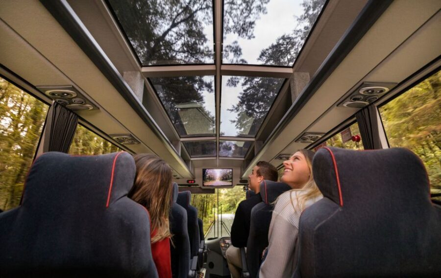 From Te Anau: Milford Sound Premium Bus Tour and Cruise - The Journey to Milford Sound: Scenic Stops and Travel Comfort