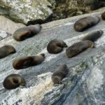 From Te Anau: Milford Sound Tour with Cruise and Lunch - Exploring Milford Sound on Foot
