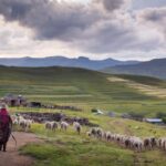 From Underberg: Sani Pass & Mokhotlong Day Trip - Practical Tips for the Trip