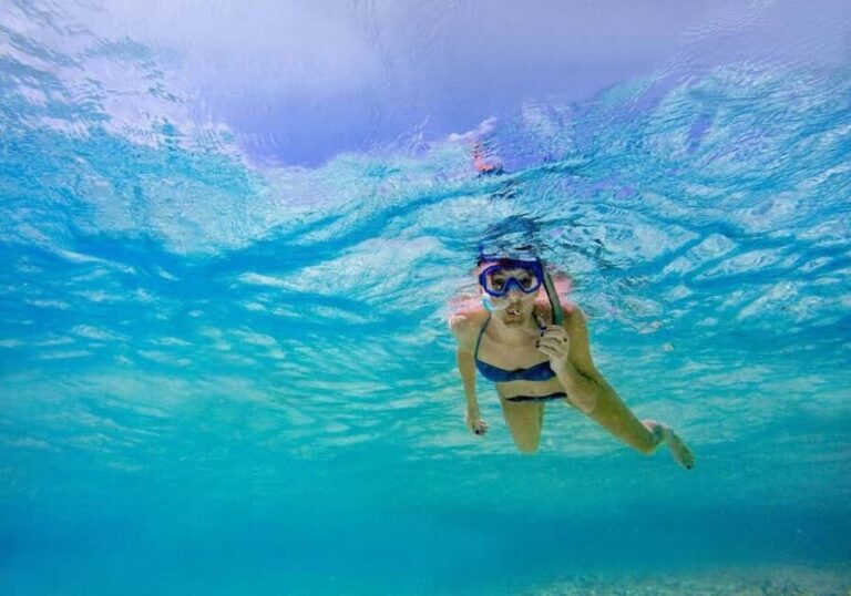 From Utende: Marimbani Sandbank Snorkeling Trip with BBQ - Authentic Insights from Past Travelers