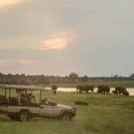 From Victoria Falls : Chobe Full Day Safari with Lunch - What Sets This Tour Apart?