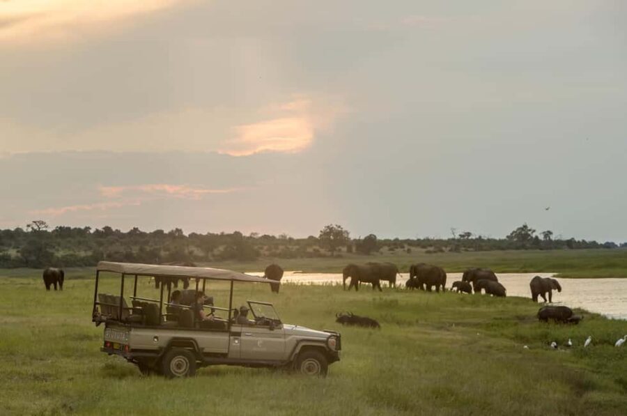 From Victoria Falls : Chobe Full Day Safari with Lunch - What Sets This Tour Apart?