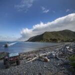 From Wellington: Kapiti Island Classic Guided Day Tour - An Introduction to the Kapiti Island Day Tour