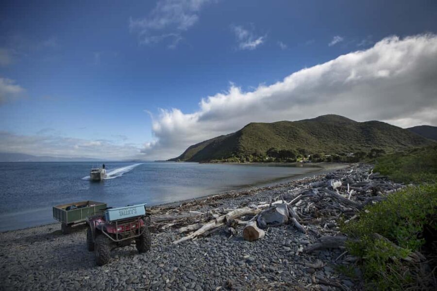 From Wellington: Kapiti Island Classic Guided Day Tour - An Introduction to the Kapiti Island Day Tour
