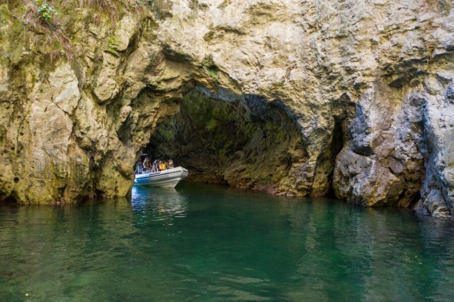 From Whitianga: Cathedral Cove Cruise with Snorkeling - Why This Tour Is a Great Choice