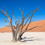 From Windhoek: 3-Day Sossusvlei Shared Shuttle Tour - What Travelers Will Love