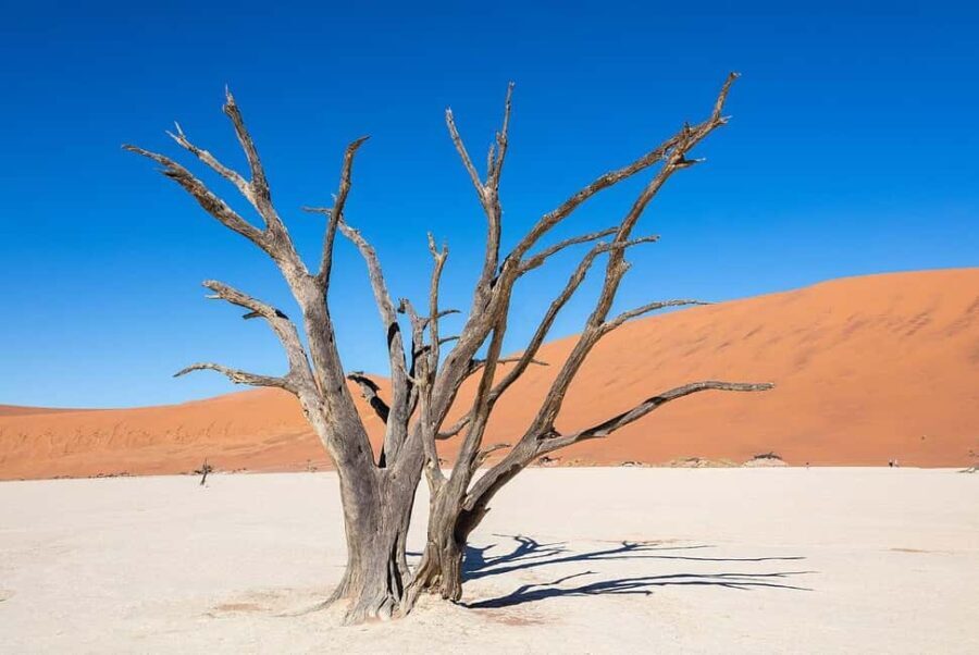 From Windhoek: 3-Day Sossusvlei Shared Shuttle Tour - What Travelers Will Love