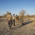 From Windhoek: Guided 1-Day Etosha National Park Safari Tour - The Itinerary: What to Expect