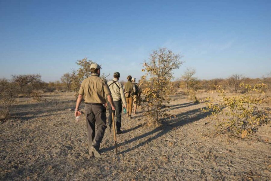 From Windhoek: Guided 1-Day Etosha National Park Safari Tour - The Itinerary: What to Expect