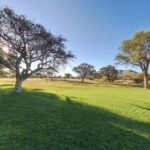 From Windhoek: Okapuka Safari Lodge Day Trip - Why This Tour Is Worth Considering
