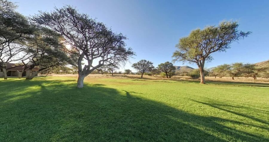 From Windhoek: Okapuka Safari Lodge Day Trip - Why This Tour Is Worth Considering