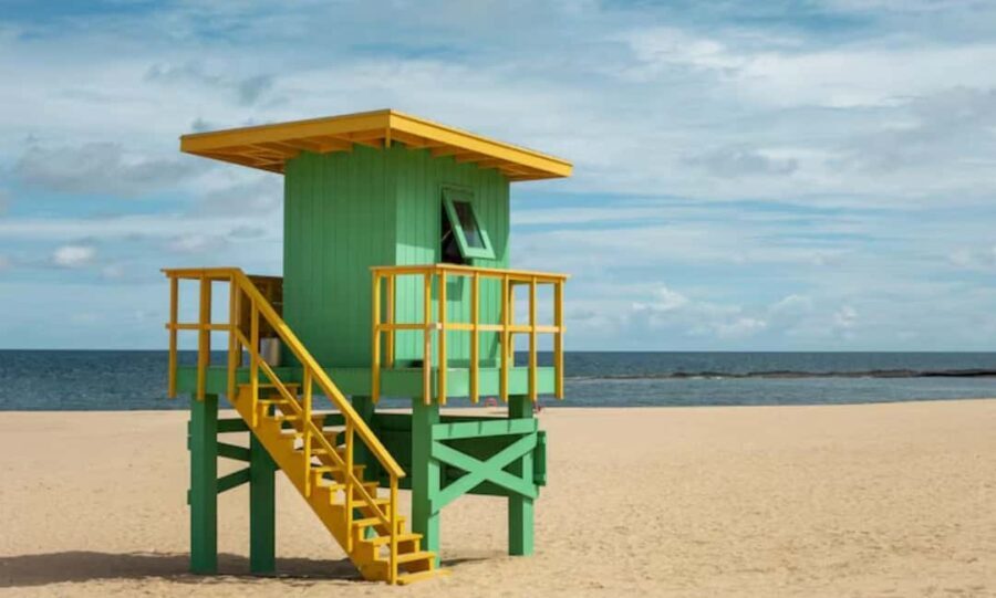 From Windsor: 2-Day Phillip Island & Wilsons Promontory Tour - Exploring the Itinerary: From Scenic Views to Wildlife Wonders