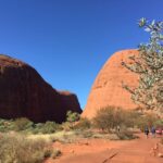 From Yulara: 3-Hour Small Group Kata Tjuta Afternoon Tour - An Honest Look at the Experience
