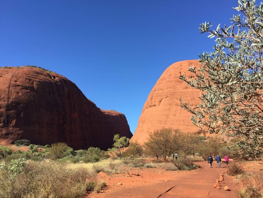 From Yulara: 3-Hour Small Group Kata Tjuta Afternoon Tour - An Honest Look at the Experience