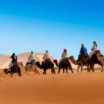 From Zagora: 2-Day Desert Tour to Erg Chegaga - What’s Included & What’s Not